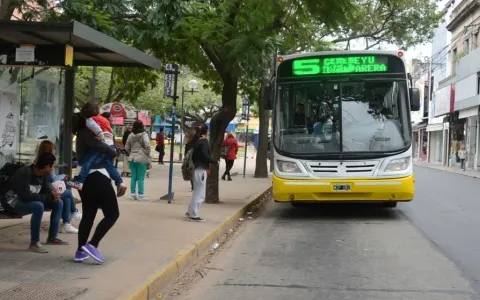 Acoso y violencia de género: disponen colocar cartelería informativa en paradas de colectivos