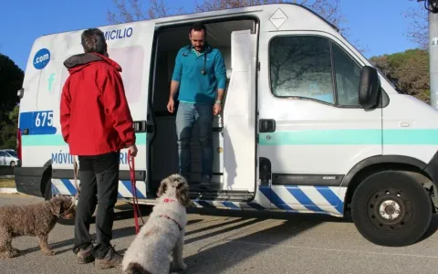 Disponen que el municipio cuente con una Ambulancia Veterinaria