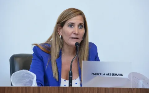 Declaran a Santa Fe como ciudad proteccionista del derecho animal