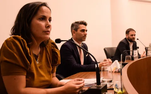 Ley de Necesidad Pública: piden construir consensos para su sanción