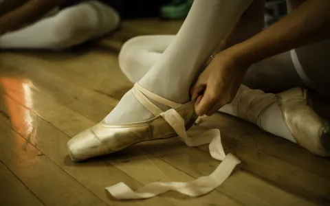 Concejales se reunieron con referentes de la danza santafesina