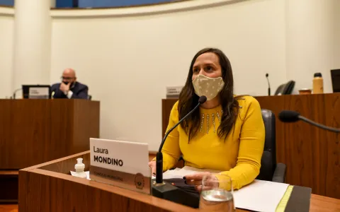 El Concejo aprobó por ordenanza la provisión de productos menstruales