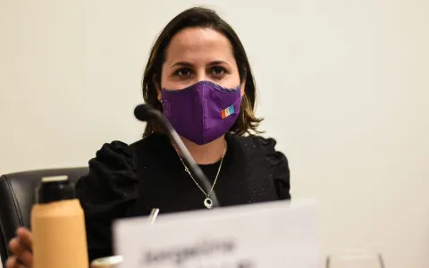 Violencia de género: plantean crear una línea telefónica gratuita