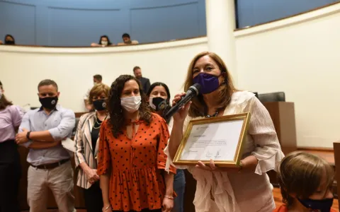 El Concejo entregó los Premios Virginia Bolten