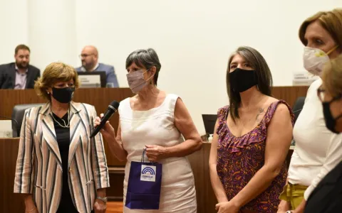 Aprueban incorporar la perspectiva de género en el espacio público