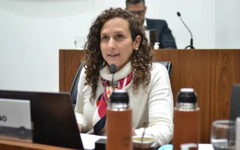 El Concejo aprobó la suspensión de la actualización del mínimo de la TGI