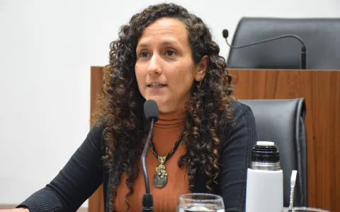 El Concejo pide que se garantice la atención pediátrica en Santa Fe