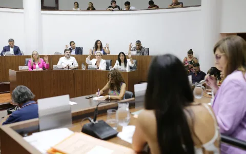 El Concejo Municipal conformó los órganos de control
