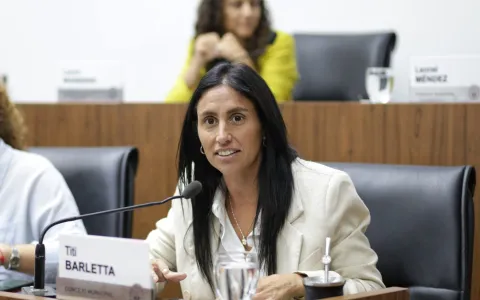 Titi Barletta: “Con el soterramiento de cables se evitaría un delito que crece en la ciudad”