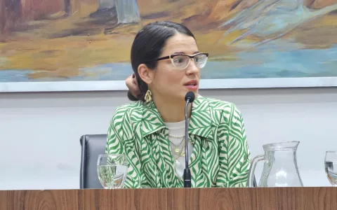 El Concejo adhirió a la Ley Chachi