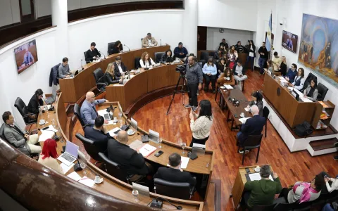 Se aprobaron tres proyectos surgidos en el Concejo Mayor