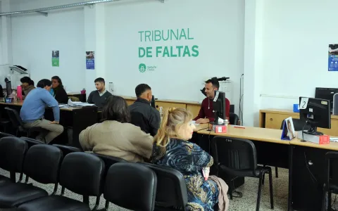 El Concejo propone incorporar la atención virtual en el Tribunal de Faltas Municipal
