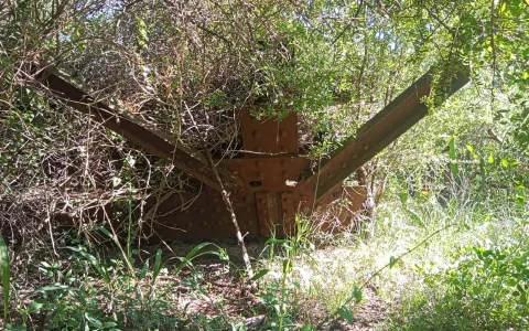 Solicitan al Ejecutivo Municipal la puesta en valor de los restos del Puente Colgante